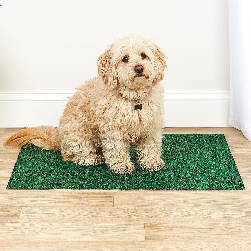 Drymate® Dog Potty Pad-Reusable, Absorbent, Waterproof, Slip-Resistant - Image 3