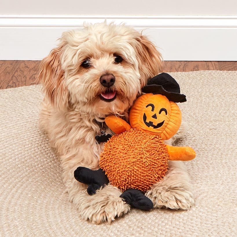 Giggling Pumpkin Halloween Dog Toy - Image 2