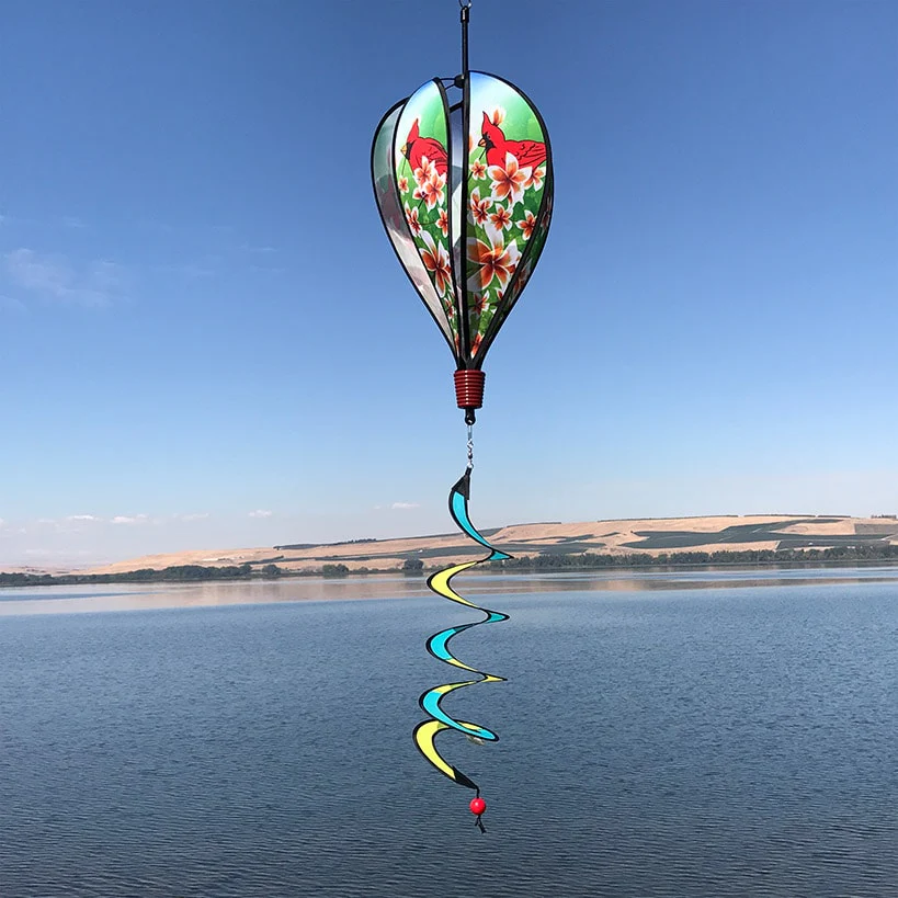 Hot Air Balloon - Image 5