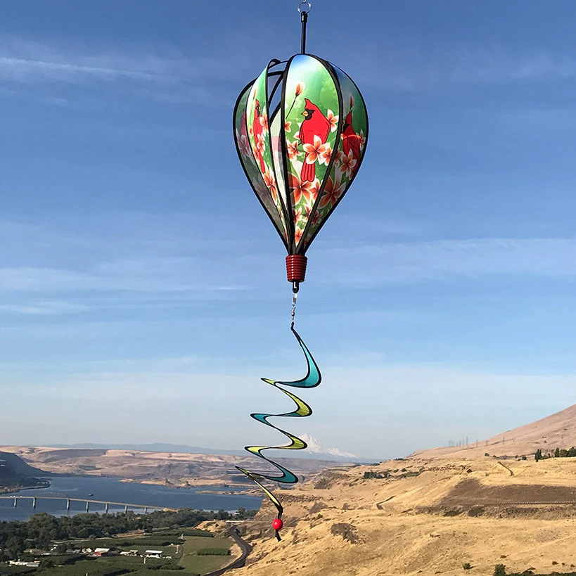 Hot Air Balloon - Image 6
