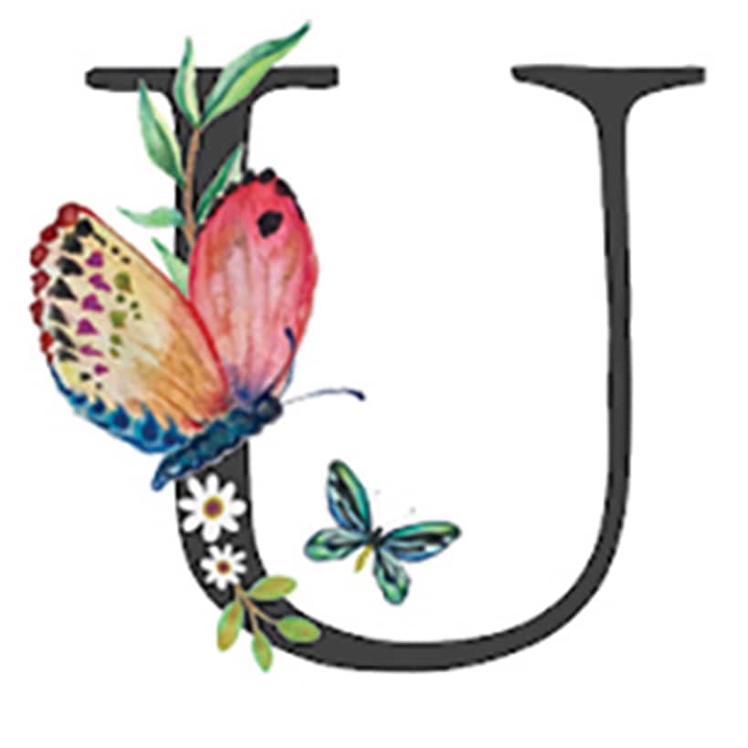 Initial Floral Butterfly Jewelry Cases - Image 22