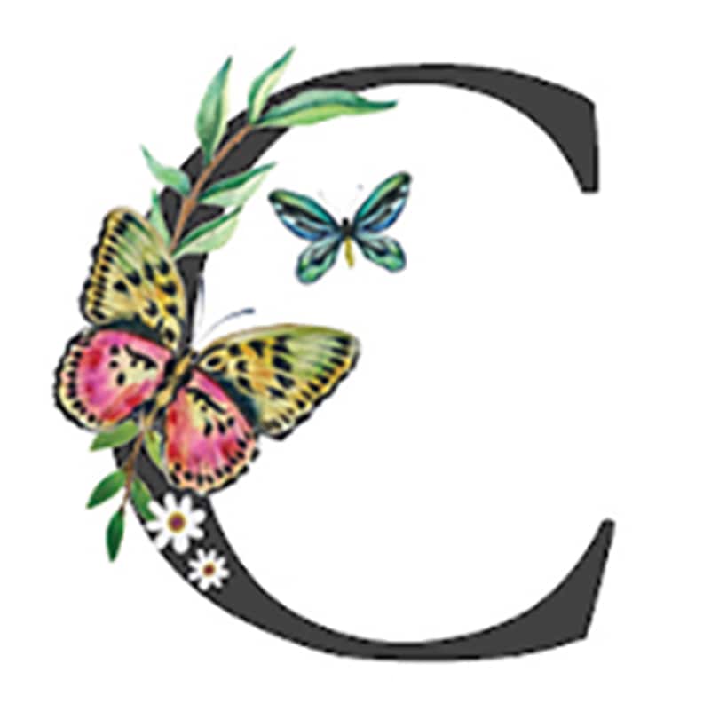 Initial Floral Butterfly Jewelry Cases - Image 4