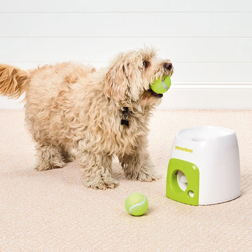Interactives™ Fetch ‘N Treat Dog Ball Reward Toy - Image 4