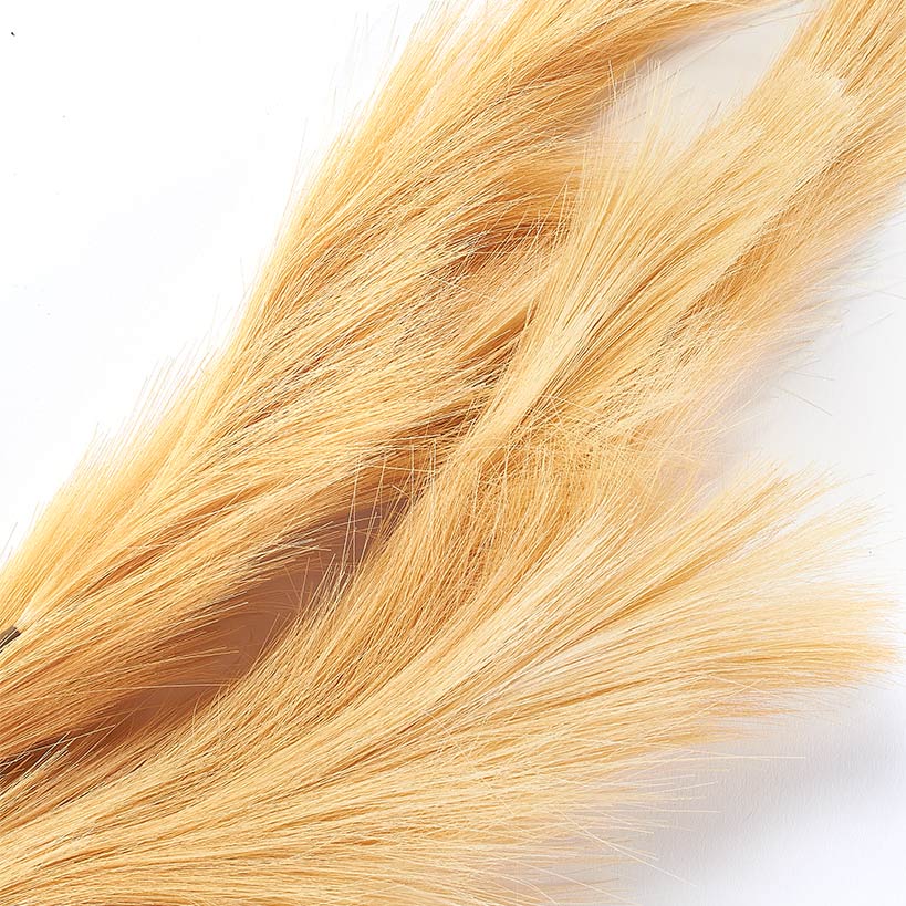 Natural Hays and Grasses Home Accents - Image 4
