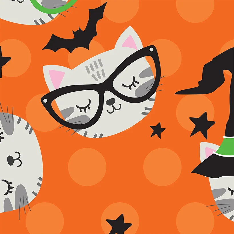 Personalized Halloween Cat Plush Blanket - Image 2