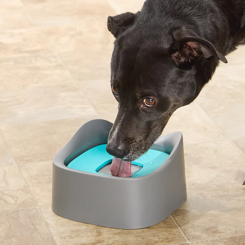 Pet-Able⢠No Spill Dog and Cat 35 Oz Water Bowl Reduces Spills