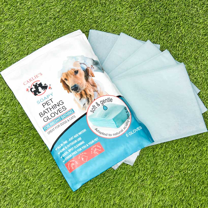 Pet Bath Soapy Gloves - Quick and Easy Cleaning for Your Dog - Set of 5 - Image 3