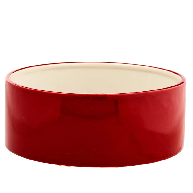 Dinner or Drinks Pet Bowl - Image 10