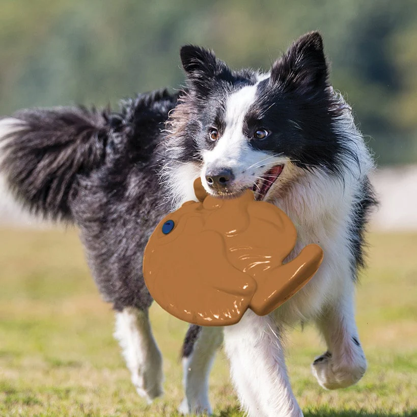 Pet Knows Best™ SquWhirl™ Dog Toy - Fun Whistling Disc for Endless Playtime - Image 4