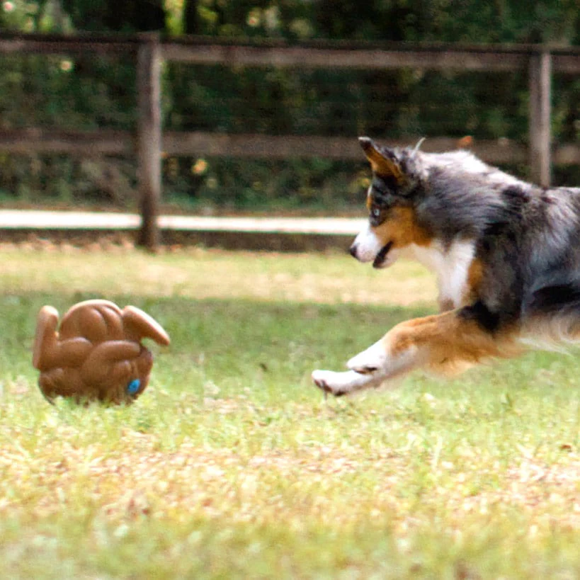 Pet Knows Best™ SquWhirl™ Dog Toy - Fun Whistling Disc for Endless Playtime - Image 6