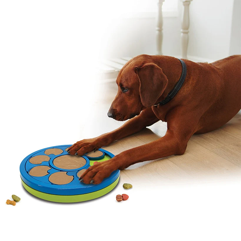 Pets Know Best™ 2-In-1 Interactive Toy - Treat Puzzle and Nail File - Image 7