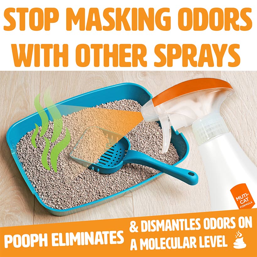 Pooph® Pet Odor And Stain Eliminator Or Kitty Spray Odor Eliminator - Image 9