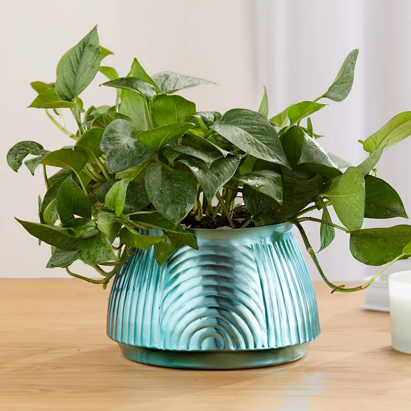 Ribbed Metal Planter - Image 4