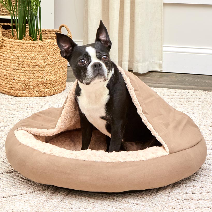 Self-Warming Pet Cave - Cozy Hideway with Round Design, Attached Blanket - Image 3