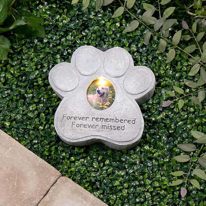 Solar Pet Memorial Photo Frame - Image 2