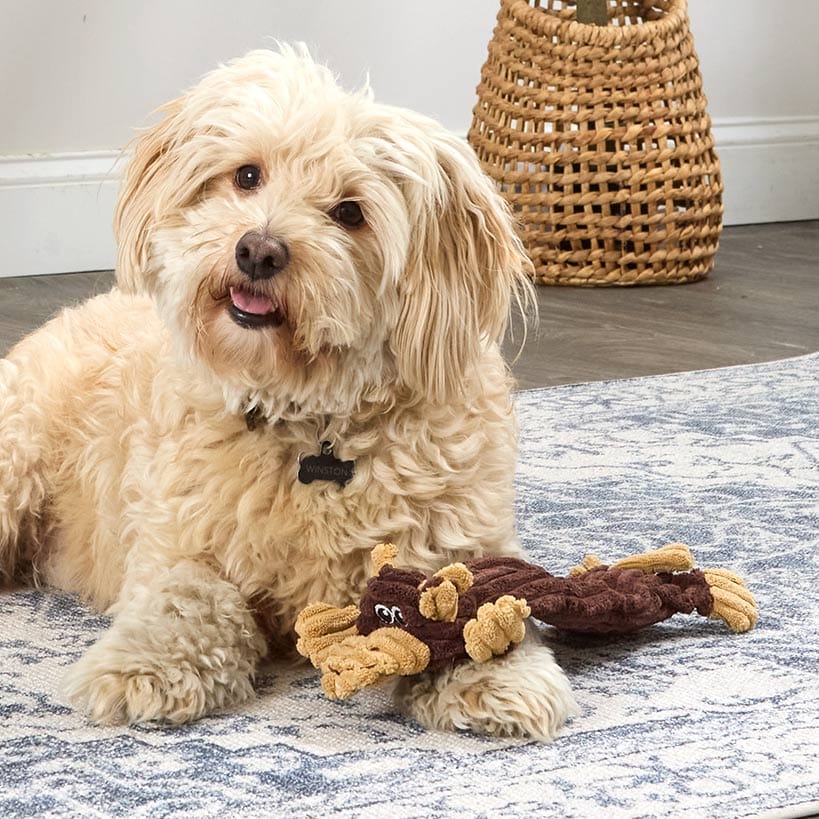 Stuffing-Free Soft Plush Corduroy Dog Chew Toy Pig Cow Or Dog Shaped - Image 3