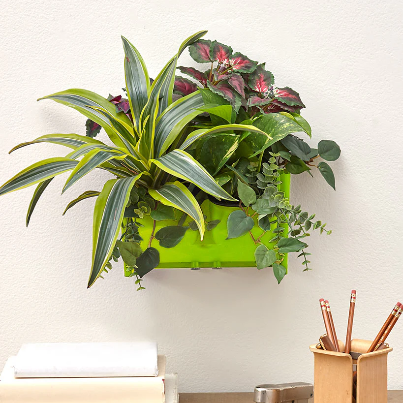 Wall Planting System - Image 5